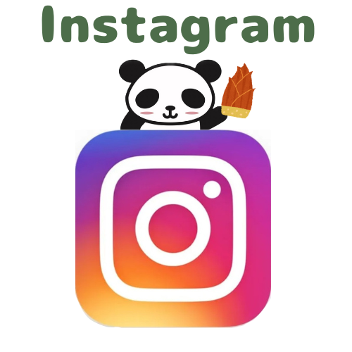 インスタ画像